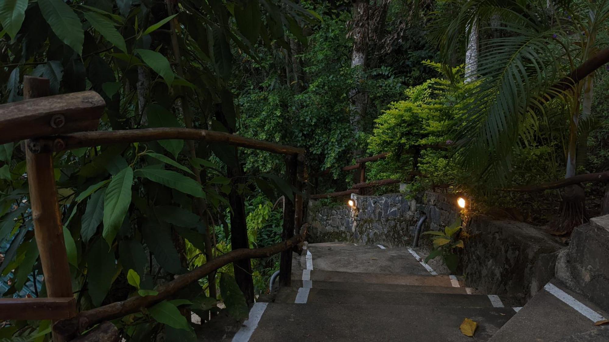 Arana Sri Lanka Eco Lodge And Yoga Center エッラ エクステリア 写真
