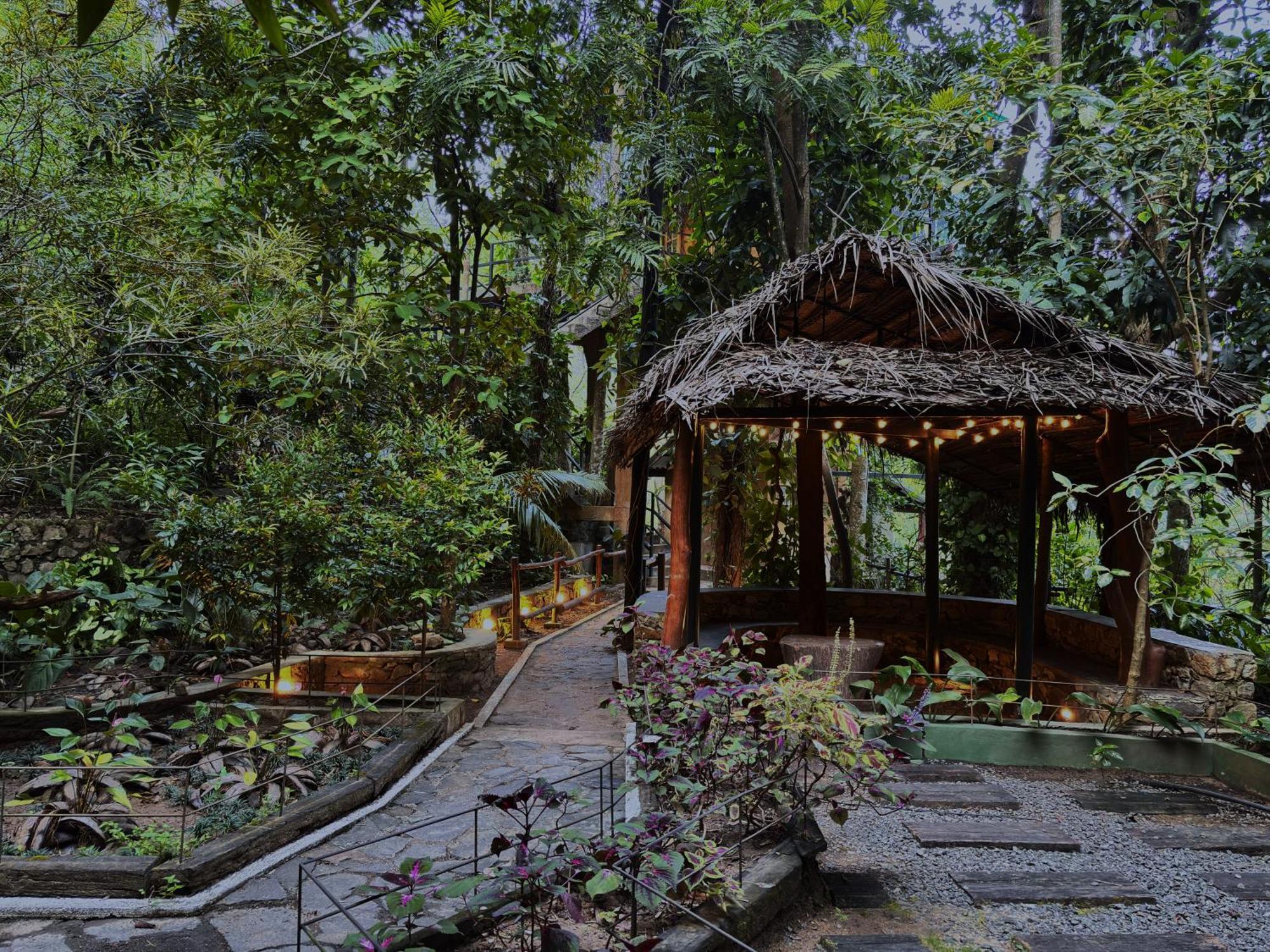 Arana Sri Lanka Eco Lodge And Yoga Center エッラ エクステリア 写真